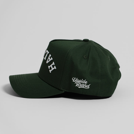 Upside Brand Precurved Halifax Snapback in garden green