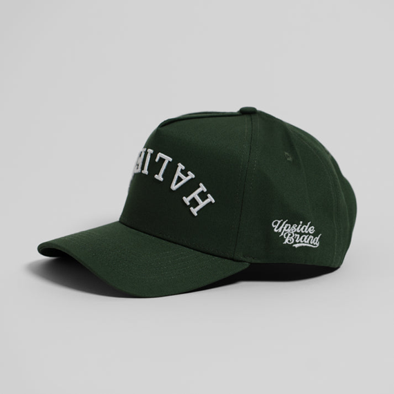 Upside Brand Precurved Halifax Snapback in garden green